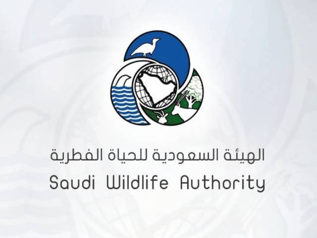 https://i0.wp.com/www.icad.com/wp-content/uploads/2023/02/saudi-wildlife-authority.jpg?resize=640%2C480&ssl=1